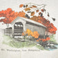 Vintage 1990s Mt Washington Barn Theme Souvenir Crewneck Sweatshirt Men's XL / 90's Tourist Vacation Graphic Sweater from propervintagecanada