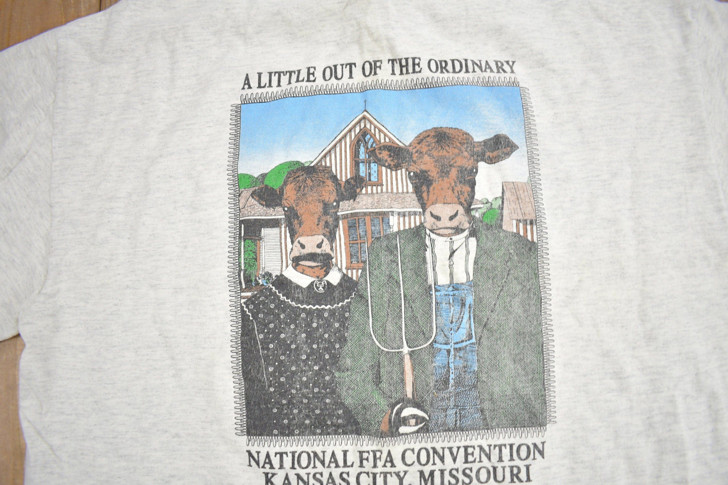Vintage 1990s National FFA Convention Graphic T Shirt Men's XL from propervintagecanada