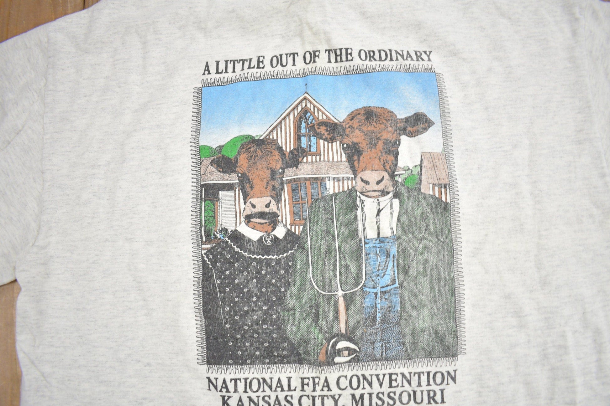 Vintage 1990s National FFA Convention Graphic T Shirt Men's XL from propervintagecanada