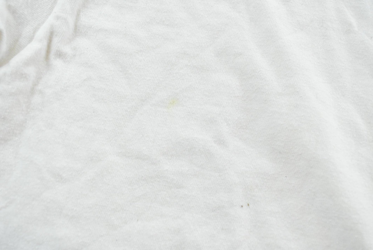 Vintage 1990s Natural Lands Trust T-Shirt Mens M from propervintagecanada