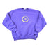 Vintage 1990s Northern Iowa Panthers University Crewneck Mens L from propervintagecanada