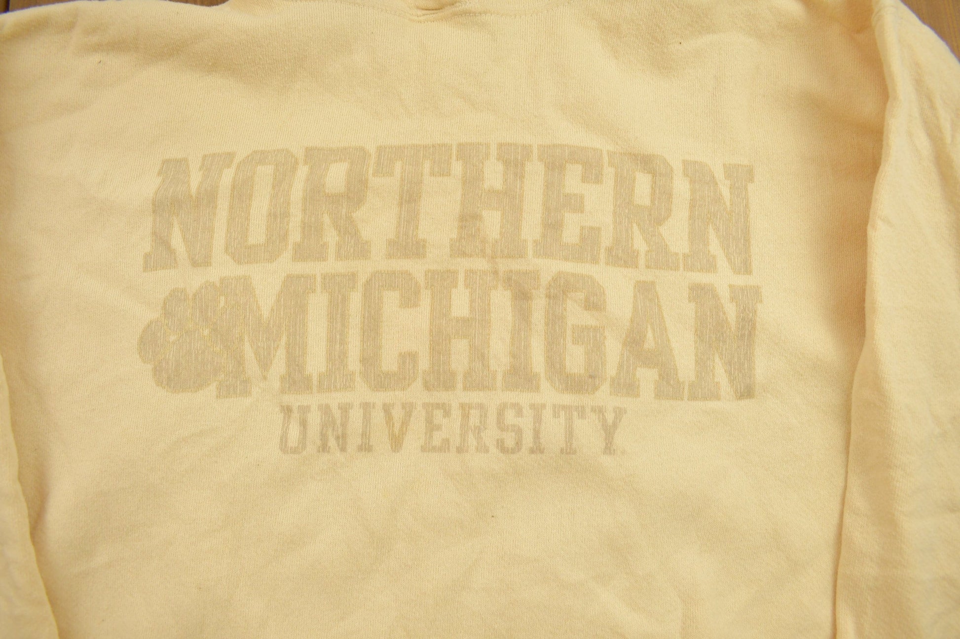 Vintage 1990s Northern Michigan Collegiate Hoodie Men's Large from propervintagecanada