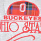 Vintage 1990s Ohio State Buckeyes University Crewneck Mens M from propervintagecanada