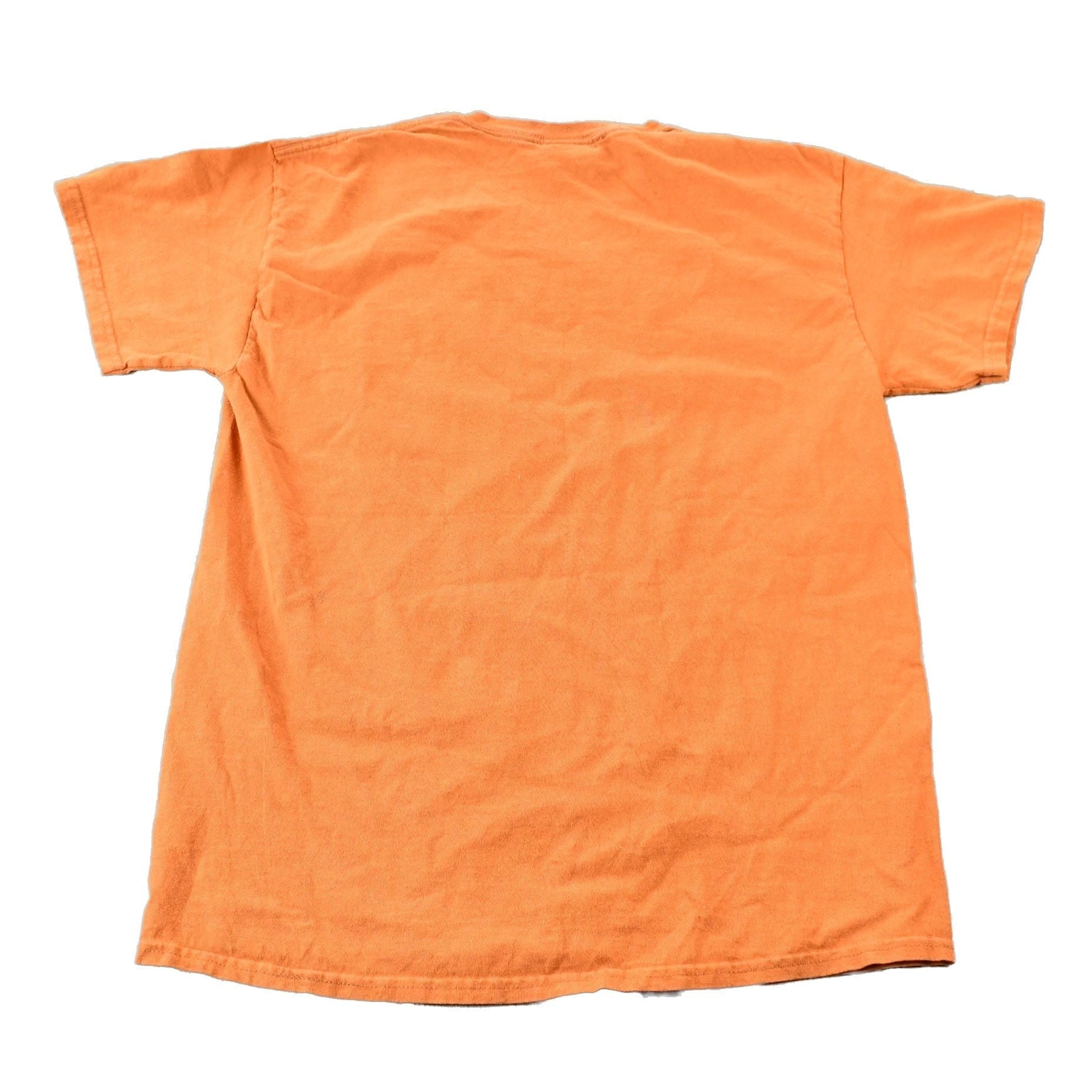 Vintage 1990s Orange Souvenir Arizona USA Feather and Bead Horse Travel T-Shirt Men's Small from propervintagecanada