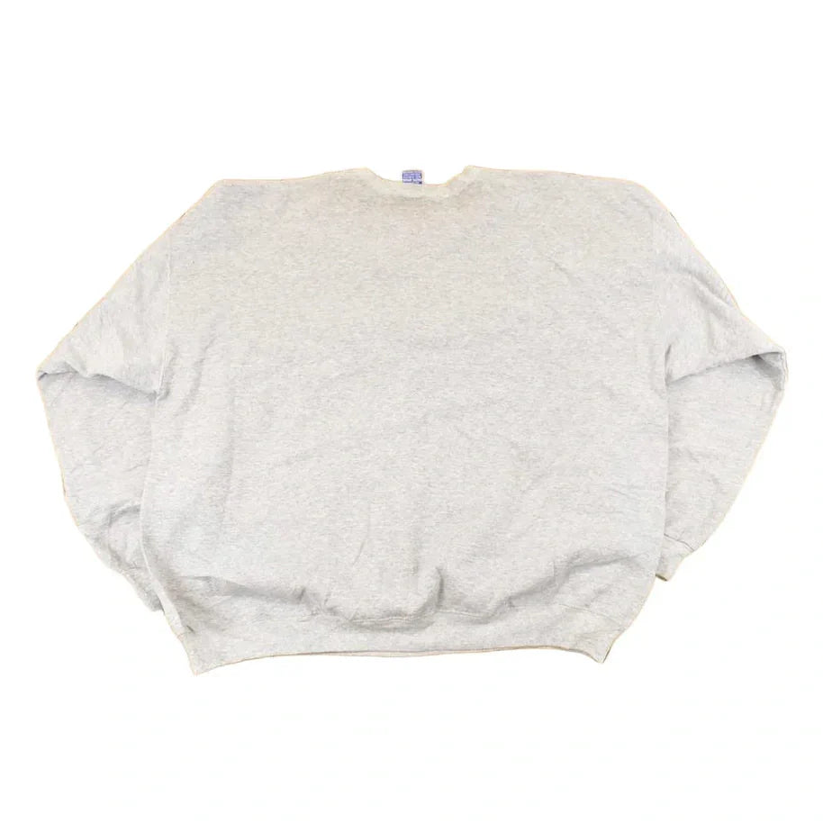 Vintage 1990s Parker Prairies Panthers Champion Graphic Print Crewneck Sweatshirt Men's XL from propervintagecanada