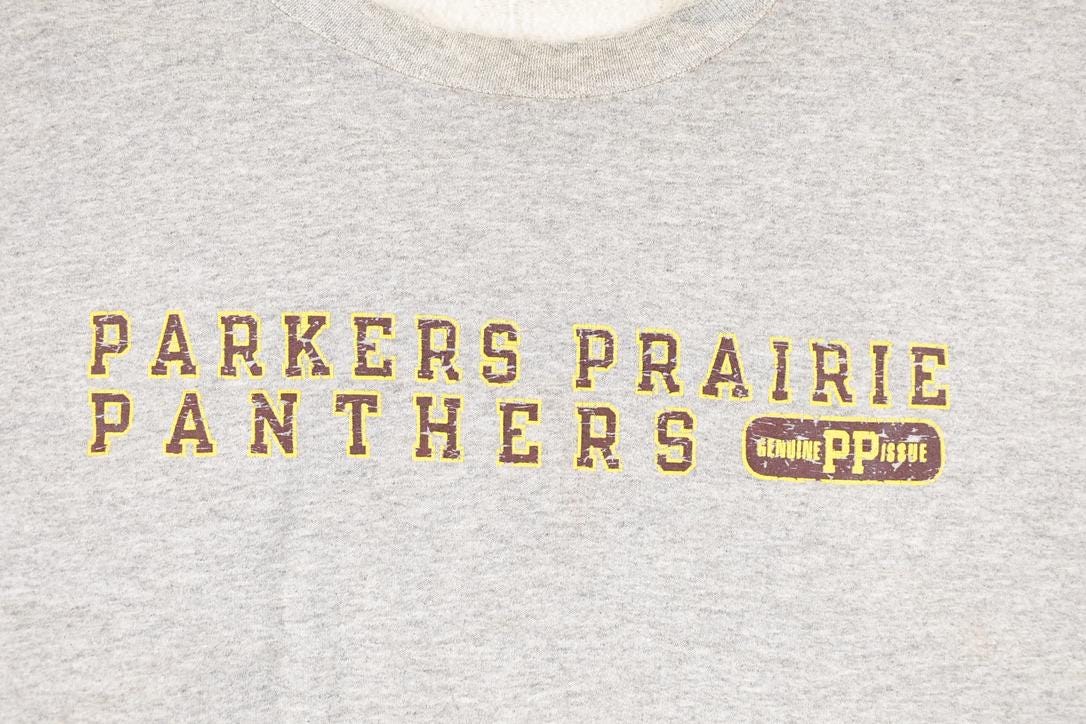 Vintage 1990s Parker Prairies Panthers Champion Graphic Print Crewneck Sweatshirt Men's XL from propervintagecanada