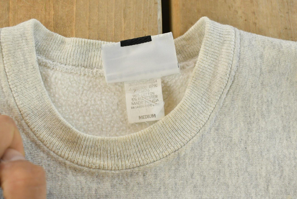 Vintage 1990s Pine Island Panthers Lee Crewneck Sweatshirt Men's M from propervintagecanada