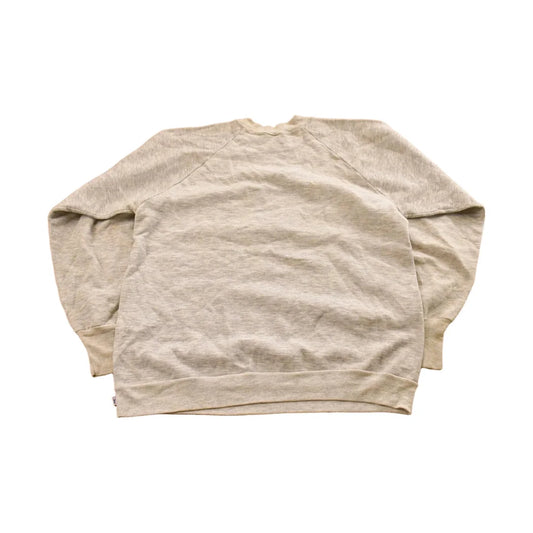 Vintage 1990s Princeton University Crewneck Sweatshirt Men's M from propervintagecanada