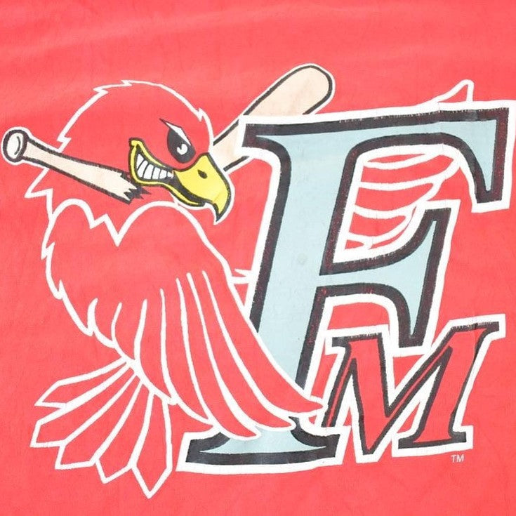 Vintage 1990s Redhawks MLB Graphic T-Shirt Men's Large from propervintagecanada