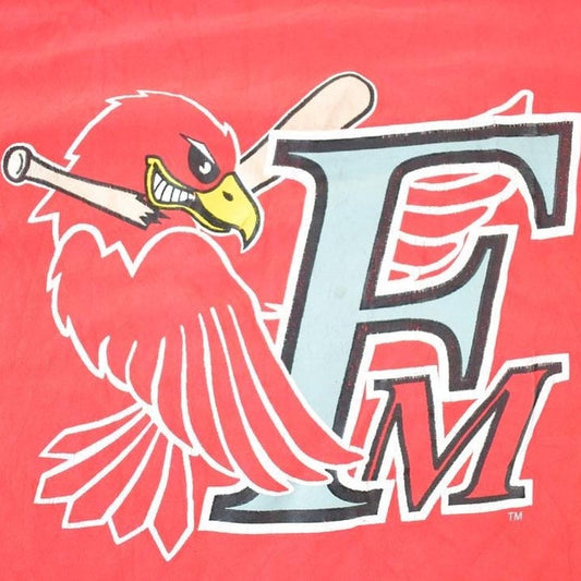 Vintage 1990s Redhawks MLB Graphic T-Shirt Men's Large from propervintagecanada