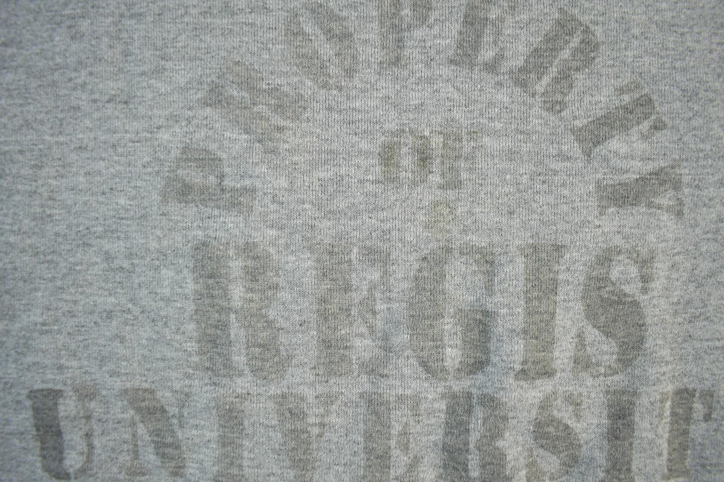 Vintage 1990s Regis University Athletics Crewneck Sweatshirt Men's L from propervintagecanada