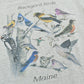 Vintage 1990s Screen Stars Backyard Birds Maine T-Shirt Mens M from propervintagecanada