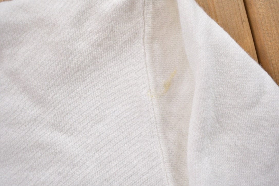 Vintage 1990s Sea World Crewneck Sweatshirt Men's M from propervintagecanada