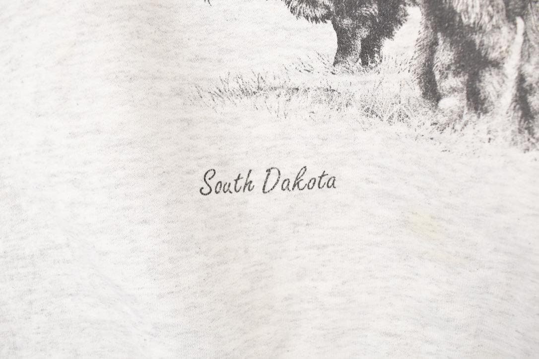 Vintage 1990s South Dakota Buffalos Graphic Print Crewneck Sweatshirt Mens L from propervintagecanada
