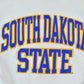 Vintage 1990s South Dakota State University Crewneck Men's Small from propervintagecanada