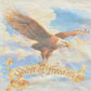 Vintage 1990s Spirit of Freedom Eagle Graphic T-Shirt Men's 2XL from propervintagecanada