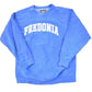 Vintage 1990s Steve And Barry's Fredonia Embroidered University Crewneck Sweater Mens L from propervintagecanada