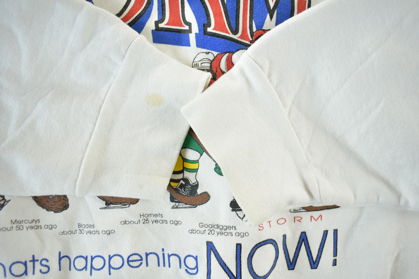 Vintage 1990s Toledo Storm ECHL Hockey Crewneck Men's M from propervintagecanada