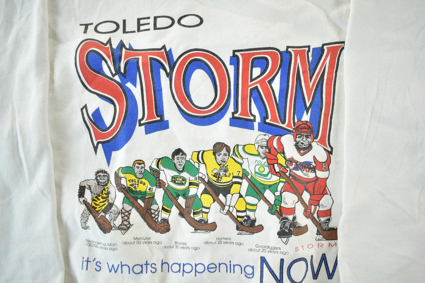 Vintage 1990s Toledo Storm ECHL Hockey Crewneck Men's M from propervintagecanada
