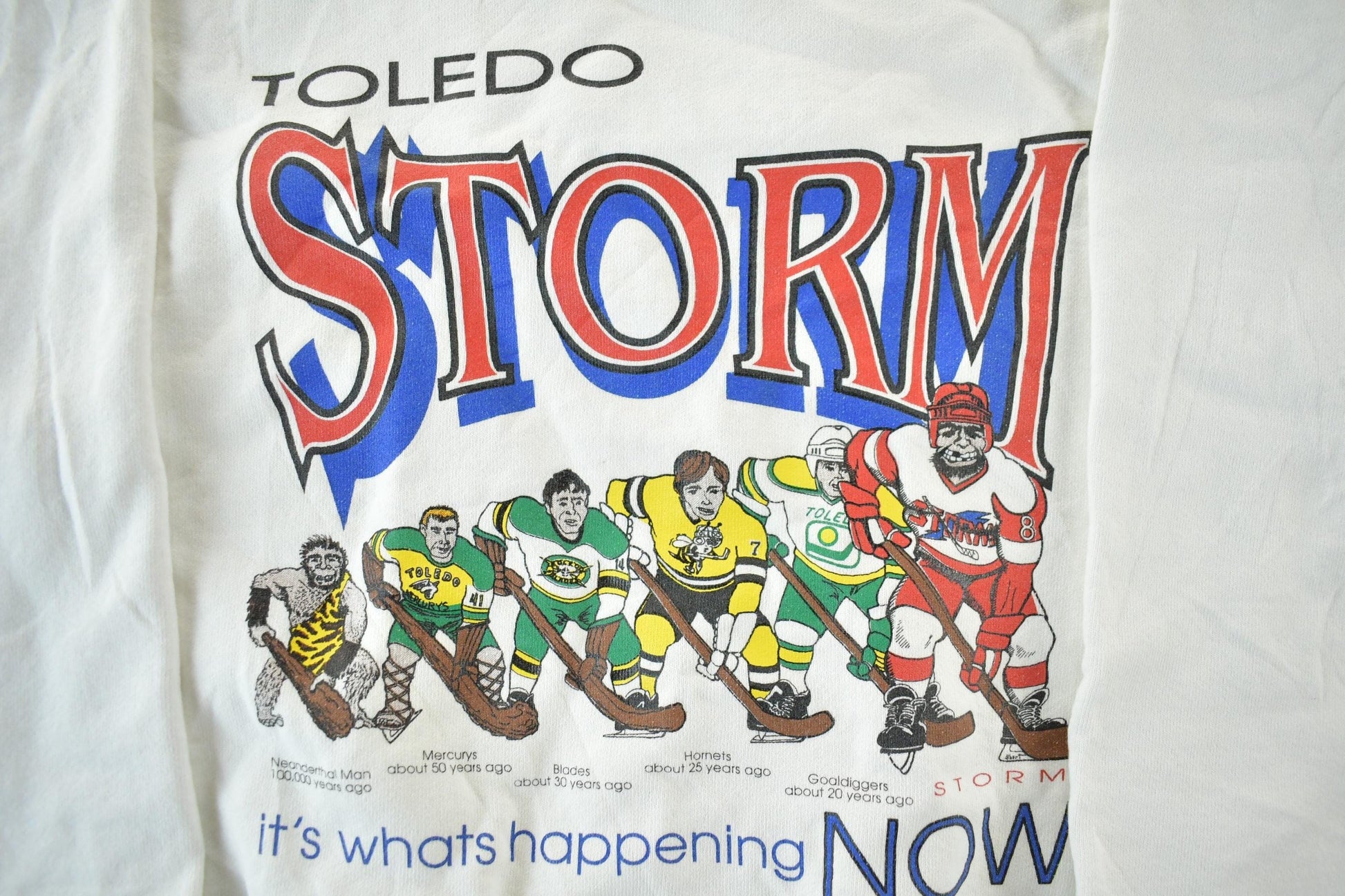 Vintage 1990s Toledo Storm ECHL Hockey Crewneck Men's M from propervintagecanada