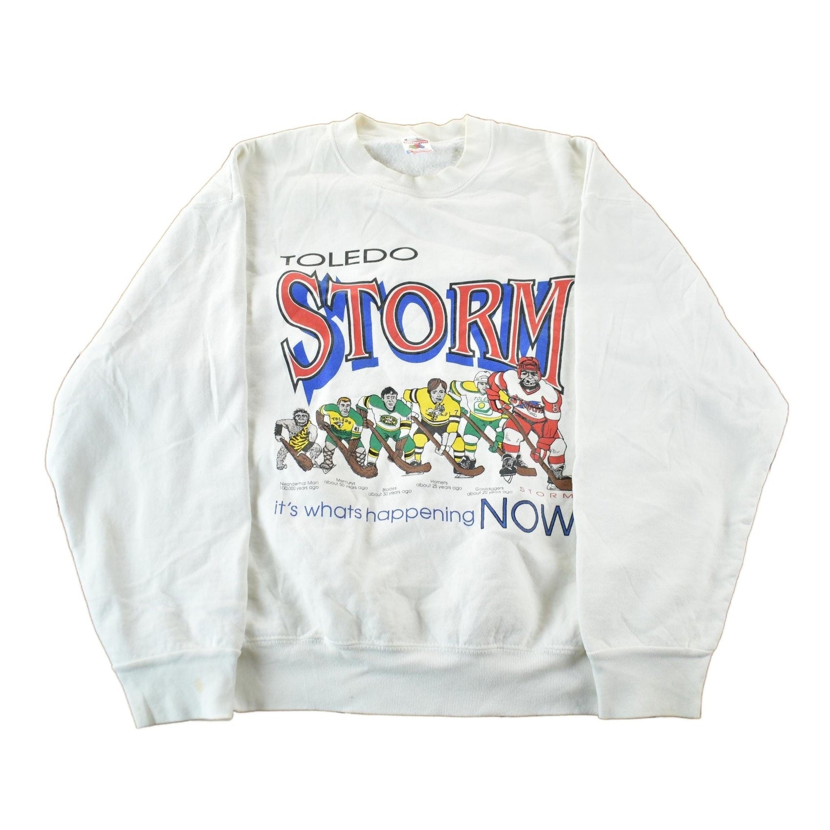 Vintage 1990s Toledo Storm ECHL Hockey Crewneck Men's M from propervintagecanada