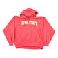 Vintage 1990s University of Iowa State Collegiate Nike Hoodie Men's Medium from propervintagecanada