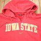 Vintage 1990s University of Iowa State Collegiate Nike Hoodie Men's Medium from propervintagecanada