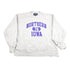 Vintage 1990s University of Northern Iowa Champion Reverse Weave Collegiate Crewneck Men&