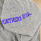Vintage 1990s University of Northern Iowa Panthers Collegiate Hoodie Men's Medium from propervintagecanada