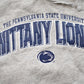 Vintage 1990s University Of Pennsylvania State Nittany Lions Collegiate Hoodie from propervintagecanada