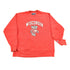 Vintage 1990s University Of Wisconsin Champion Reverse Weave Crewneck Sweatshirt Men&