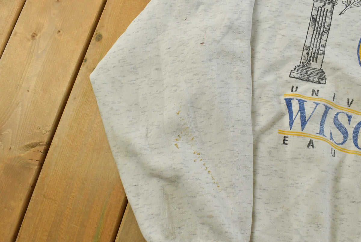 Vintage 1990s University of Wisconsin Sweatshirt Men's XL from propervintagecanada