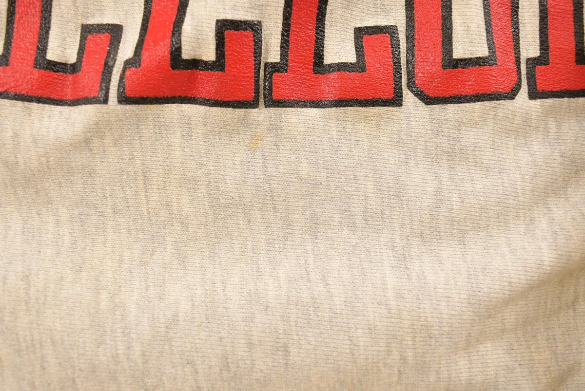 Vintage 1990s Ursinus College Champion Reverse Weave Crewneck Sweatshirt Men's Large from propervintagecanada