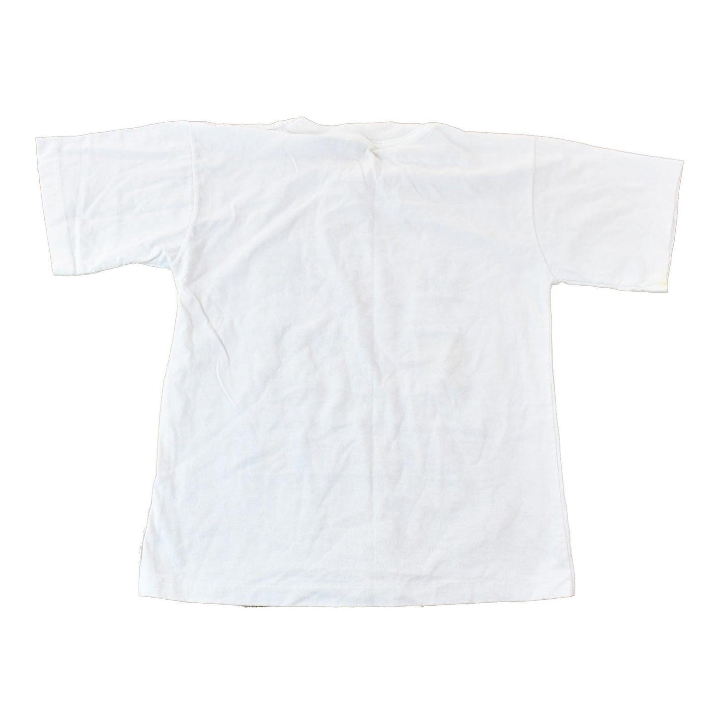 Vintage 1990s Victoria British Colombia Landmarks Souvenir Single Stitch Graphic Travel T-Shirt Made In Canada Men's Small from propervintagecanada