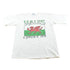 Vintage 1990s Wales Welsh Dragon Souvenir T-Shirt Men&