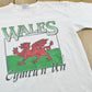 Vintage 1990s Wales Welsh Dragon Souvenir T-Shirt Men's M from propervintagecanada