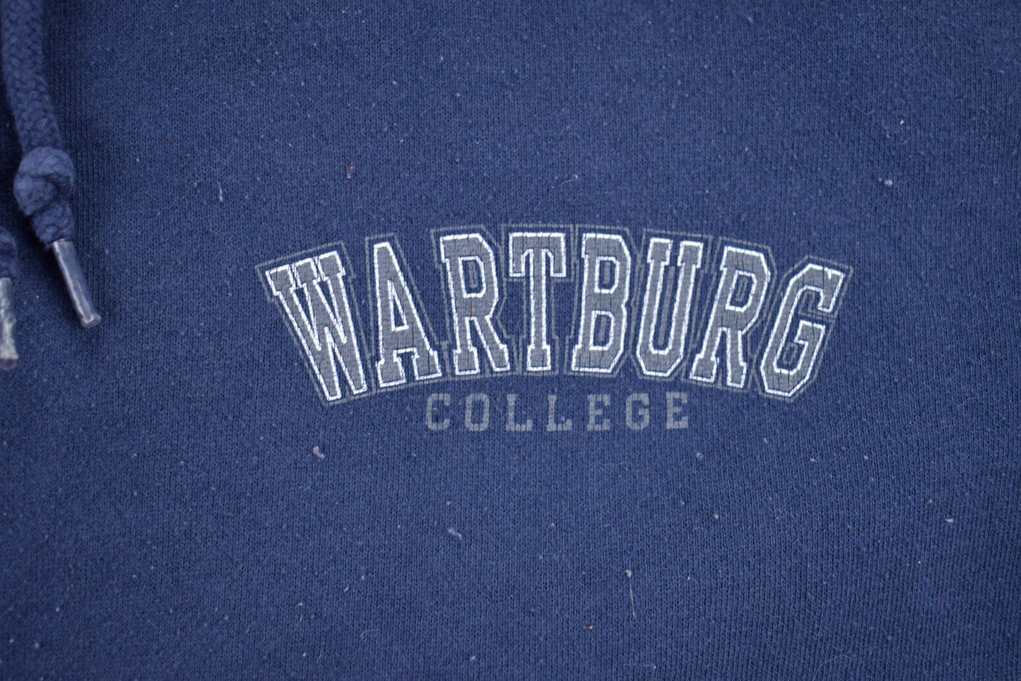 Vintage 1990s Wartburg College Iowa Collegiate Hoodie Men's 2XL from propervintagecanada