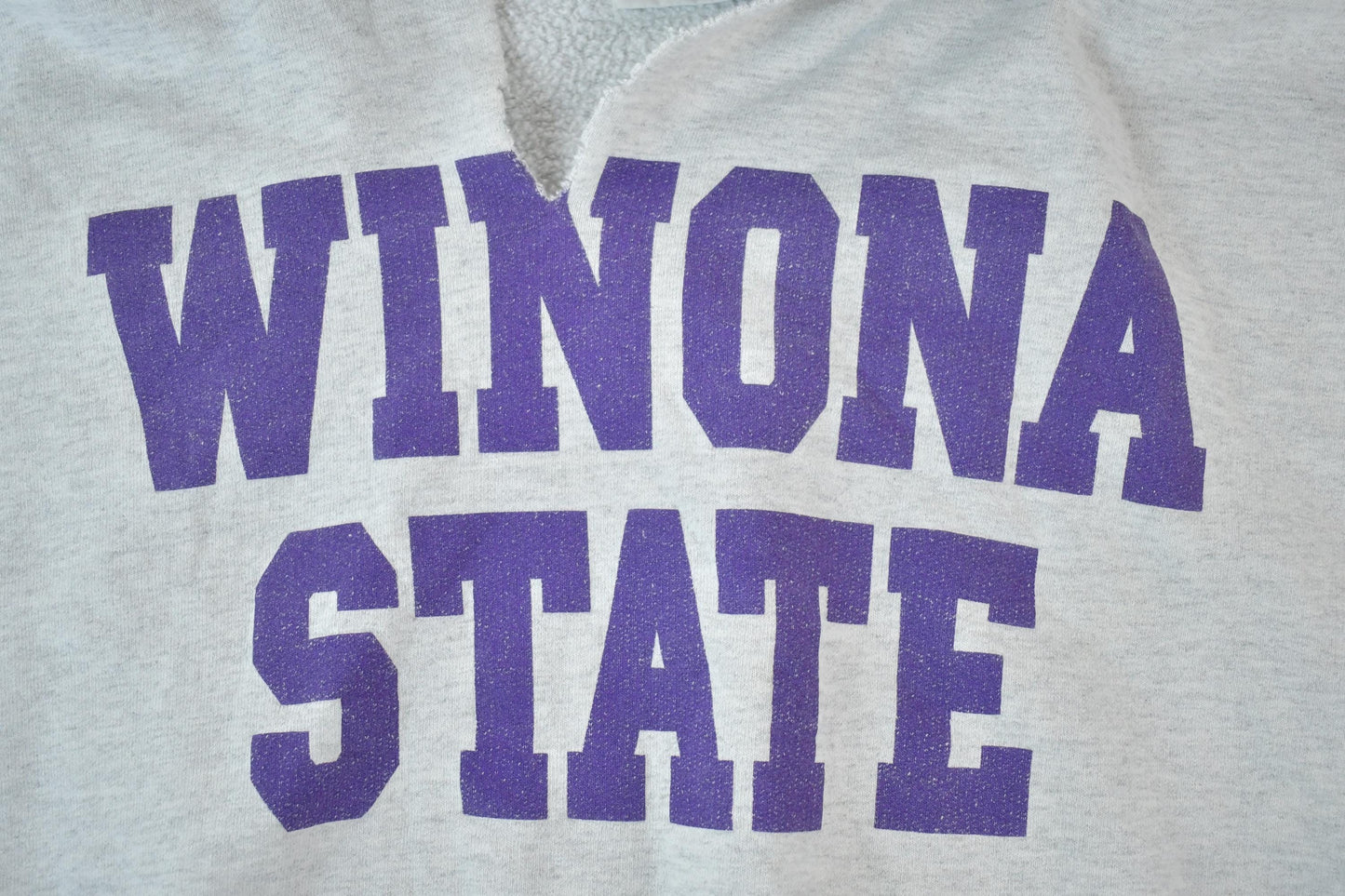 Vintage 1990s Winona State University Collegiate The Cotton Exchange Heavyweight Hoodie Men's Large from propervintagecanada