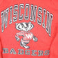 Vintage 1990s Wisconsin Badgers University Crewneck Mens S-M Men's Small from propervintagecanada