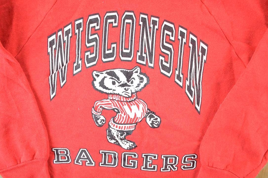 Vintage 1990s Wisconsin Badgers University Crewneck Mens S-M Men's Small from propervintagecanada