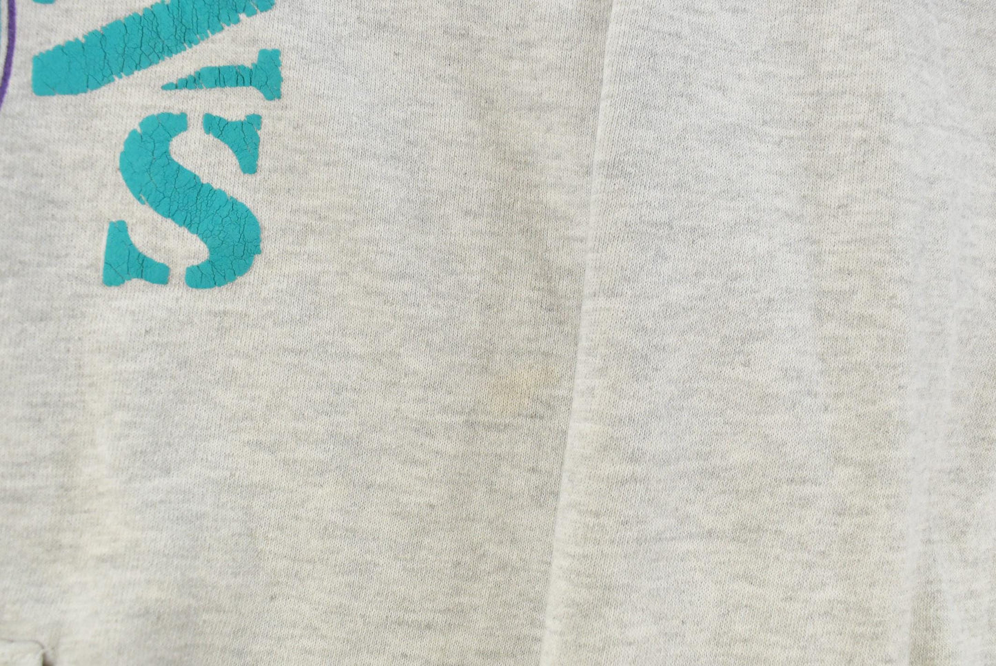 Vintage 1990s Wisconsin Dells Travel Souvenir Hoodie Sweatshirt Men's 2XL / Made In USA / 90's Destination Sweater from propervintagecanada