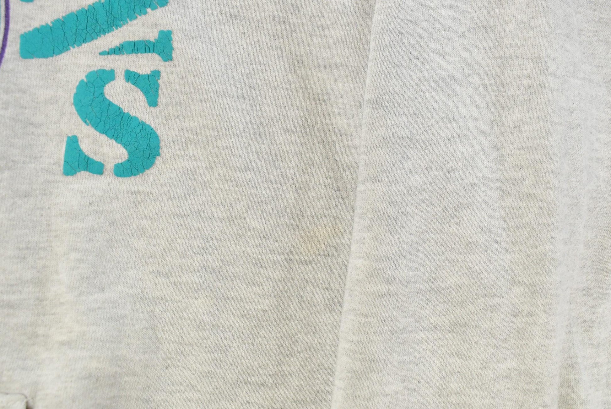 Vintage 1990s Wisconsin Dells Travel Souvenir Hoodie Sweatshirt Men's 2XL / Made In USA / 90's Destination Sweater from propervintagecanada