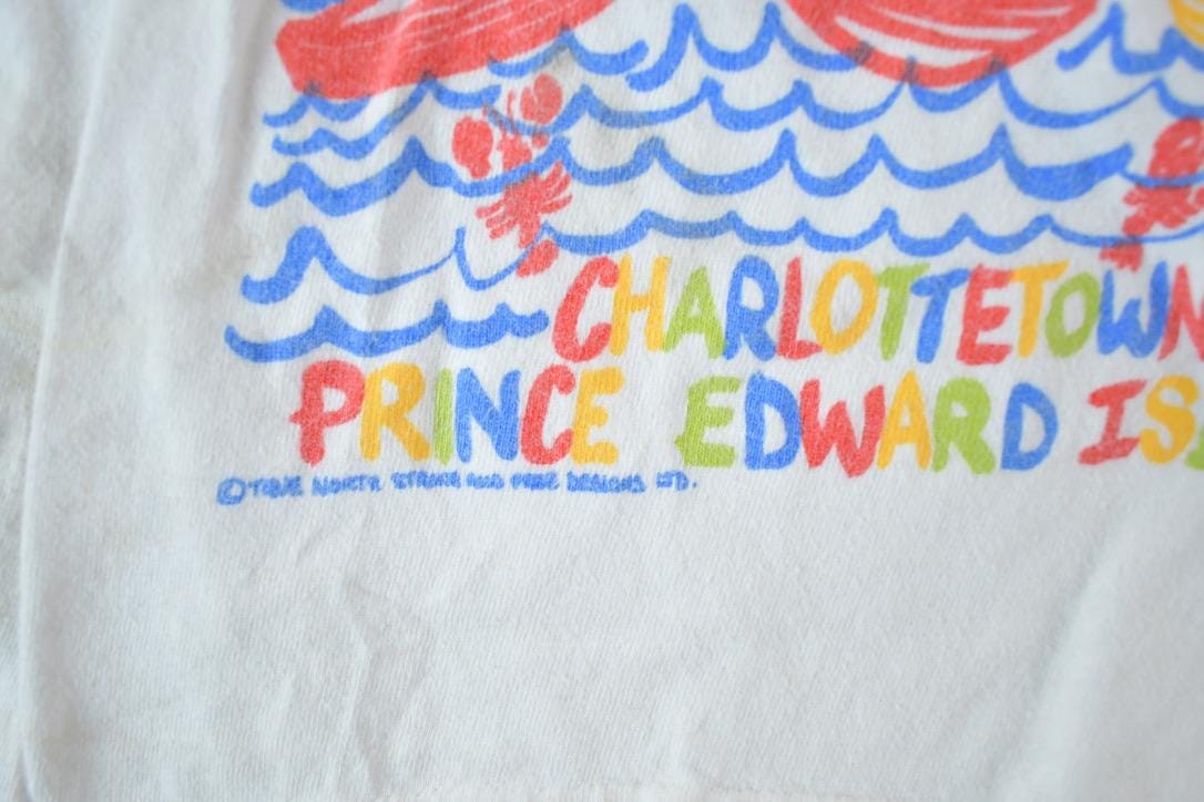 Vintage 1990s Youth Prince Edward Island Souvenir Single Stitch Graphic Print T-Shirt Made In USA Youth Small Men's Small from propervintagecanada