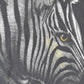 Vintage 1990s Zebra Portrait Souvenir Sahara T-Shirt Men's L from propervintagecanada
