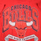 Vintage 1991 Chicago Bulls NBA World Champions Graphic T-Shirt Men's 2XL from propervintagecanada
