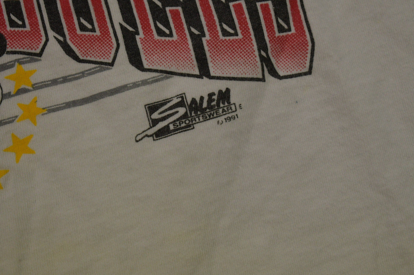 Vintage 1991 Chicago Bulls NBA World Champions T-Shirt Salem Made In USA Men's Large from propervintagecanada