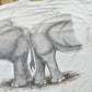 Vintage 1992 Harlequin Elephants Asia Africa Animal T-Shirt Mens L from propervintagecanada