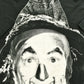 Vintage 1992 The Wizard Of Oz Stanley Desantis Scarecrow All Over Print T-shirt from propervintagecanada