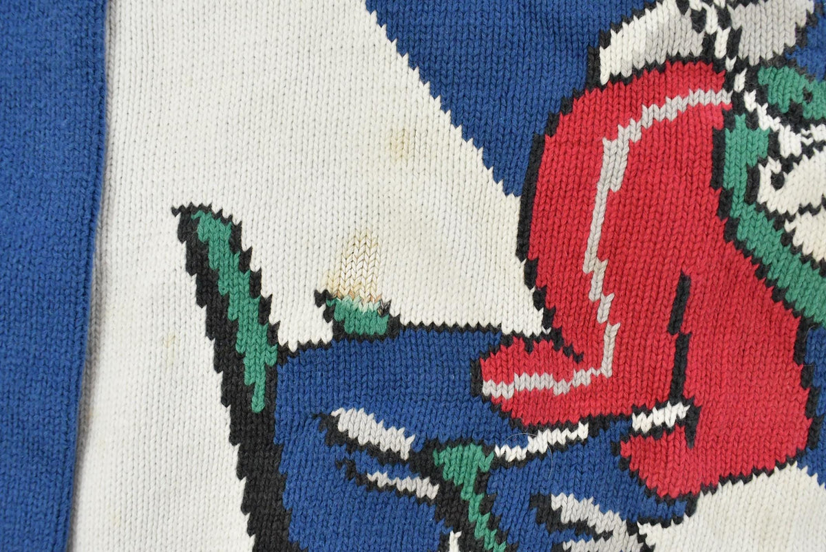 Vintage 1993 Looney Tunes Suicide Skier Knit Crewneck Sweater Men's S-M from propervintagecanada