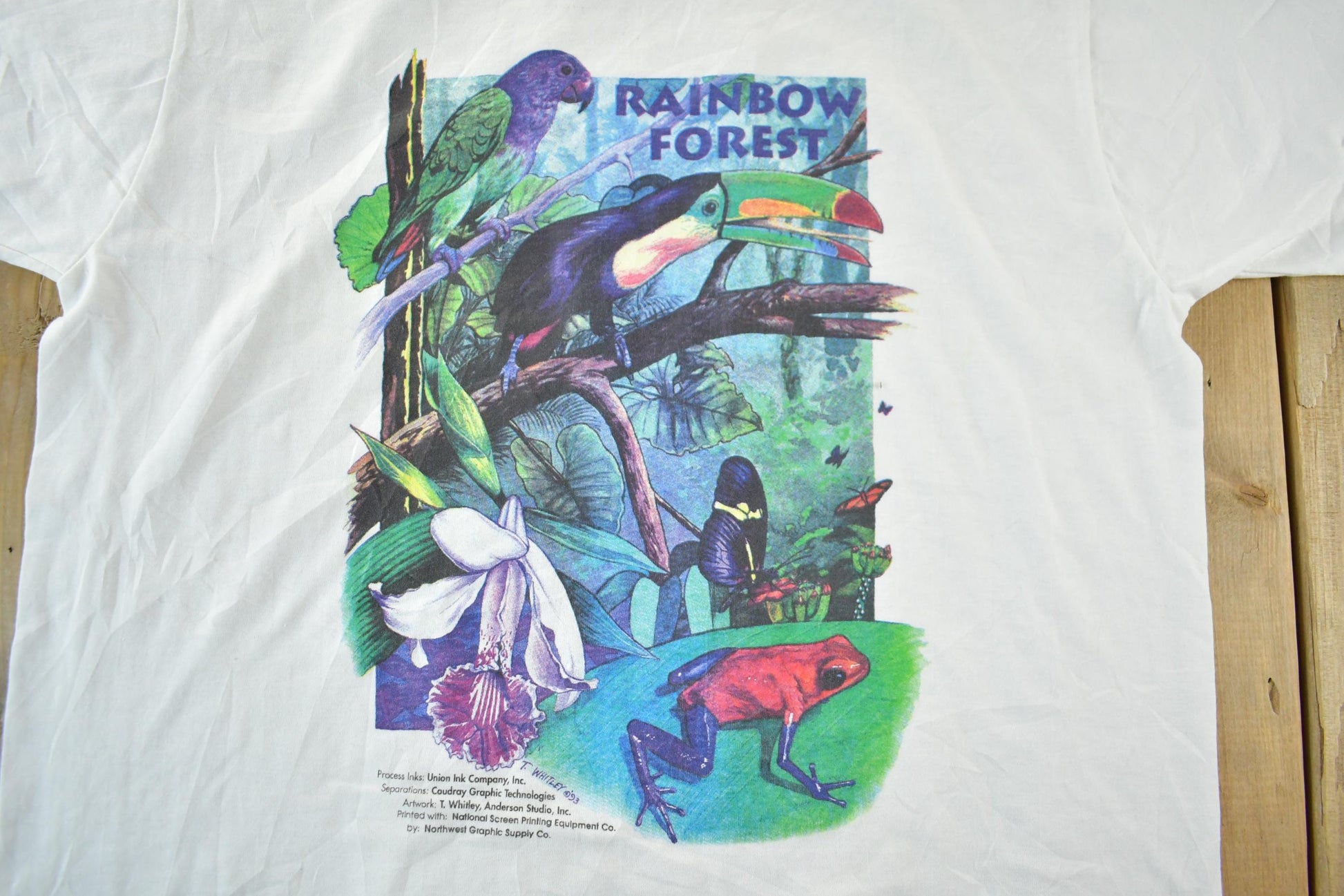 Vintage 1993 Rainbow Forest T-Shirt Men's Large from propervintagecanada